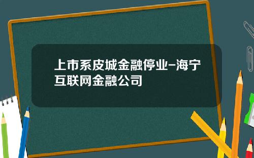 上市系皮城金融停业-海宁互联网金融公司