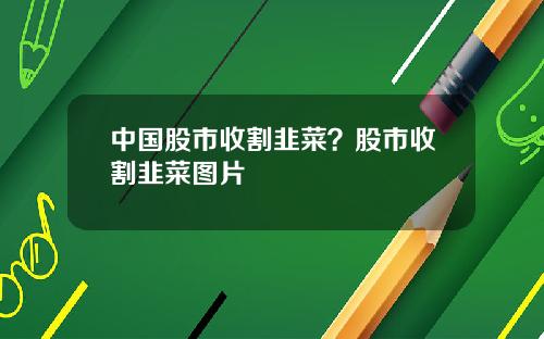 中国股市收割韭菜？股市收割韭菜图片