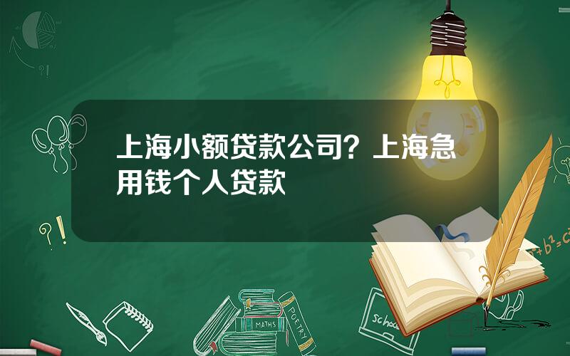 上海小额贷款公司？上海急用钱个人贷款