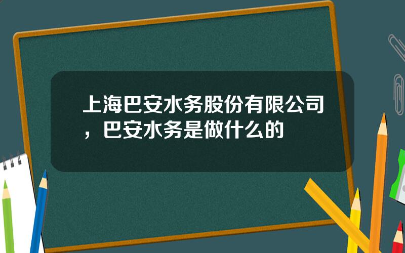 上海巴安水务股份有限公司，巴安水务是做什么的