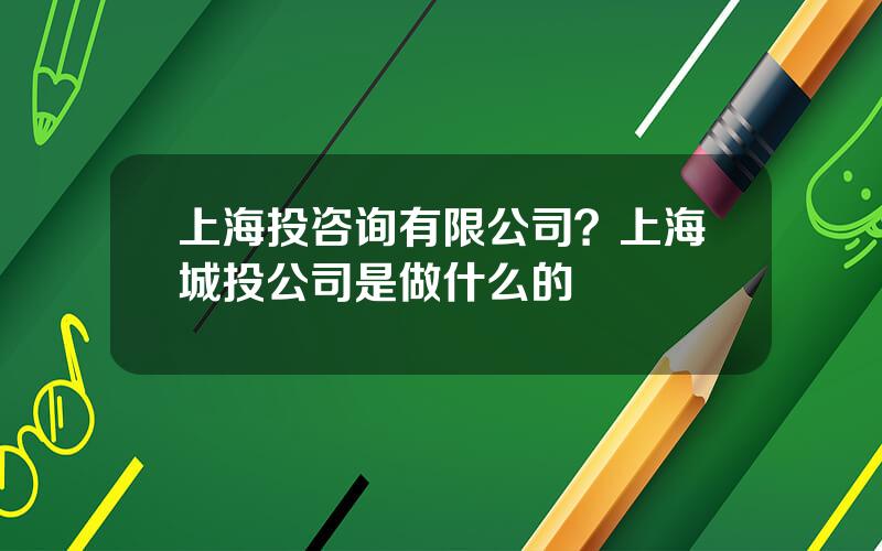 上海投咨询有限公司？上海城投公司是做什么的