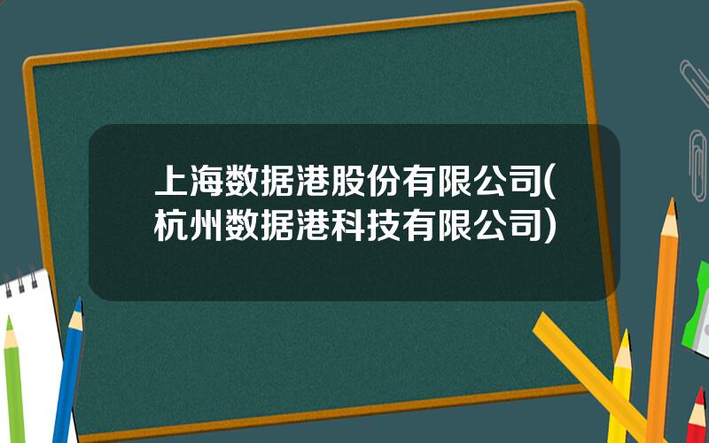 上海数据港股份有限公司(杭州数据港科技有限公司)