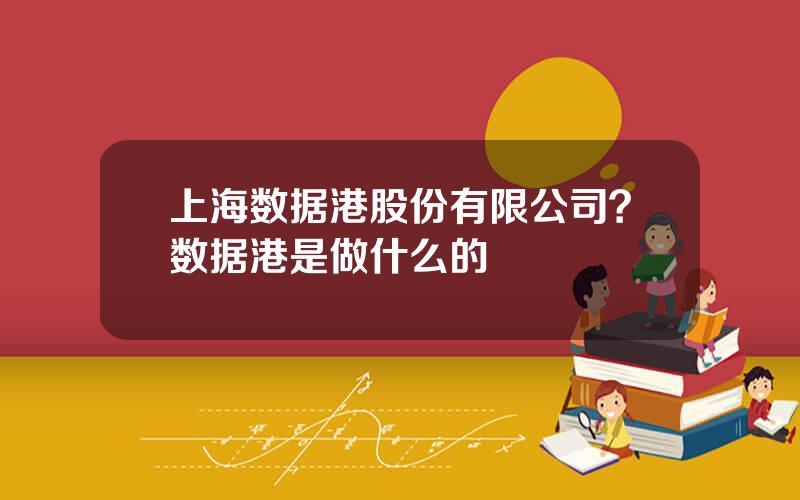 上海数据港股份有限公司？数据港是做什么的