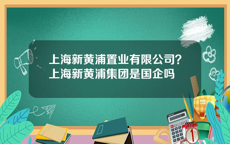 上海新黄浦置业有限公司？上海新黄浦集团是国企吗