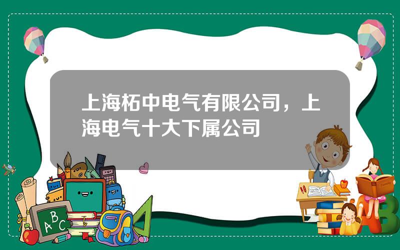 上海柘中电气有限公司，上海电气十大下属公司