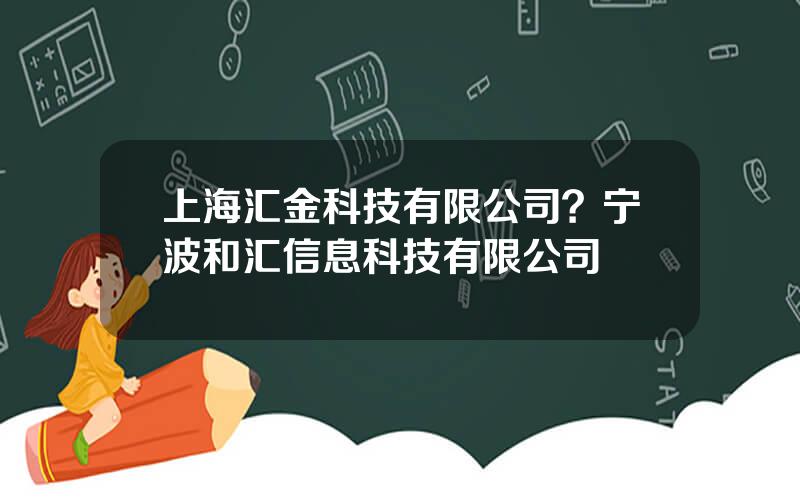 上海汇金科技有限公司？宁波和汇信息科技有限公司