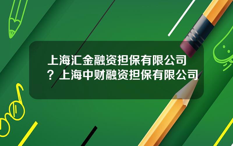 上海汇金融资担保有限公司？上海中财融资担保有限公司