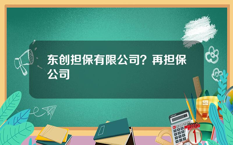 东创担保有限公司？再担保公司