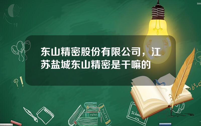 东山精密股份有限公司，江苏盐城东山精密是干嘛的