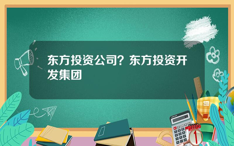 东方投资公司？东方投资开发集团