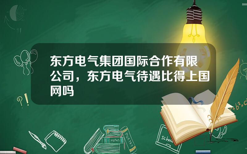 东方电气集团国际合作有限公司，东方电气待遇比得上国网吗