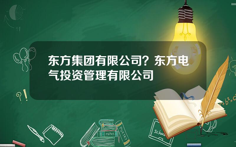 东方集团有限公司？东方电气投资管理有限公司