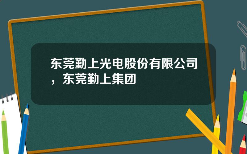 东莞勤上光电股份有限公司，东莞勤上集团