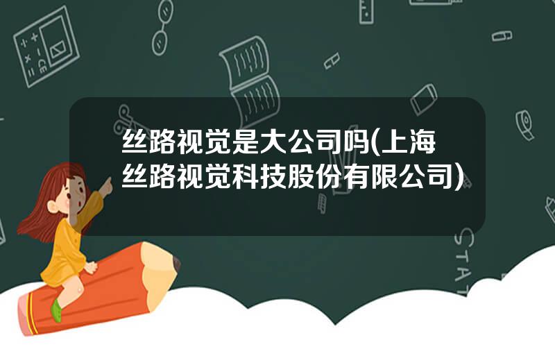 丝路视觉是大公司吗(上海丝路视觉科技股份有限公司)