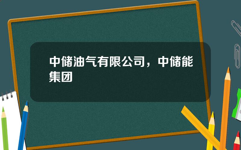 中储油气有限公司，中储能集团