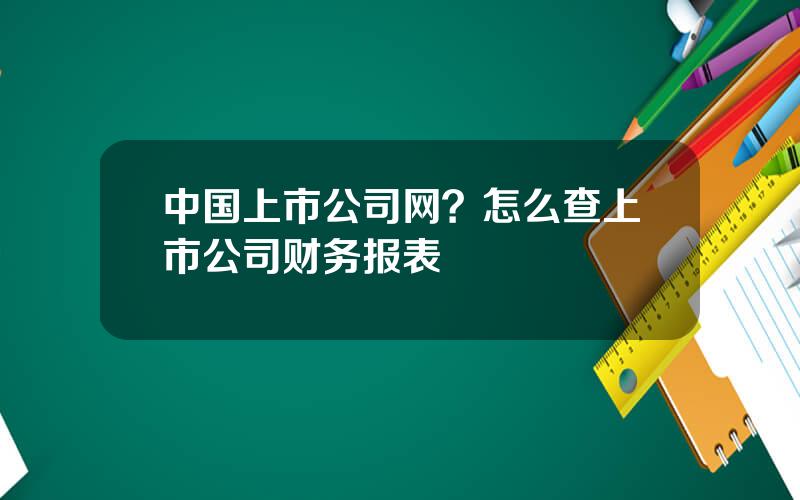 中国上市公司网？怎么查上市公司财务报表