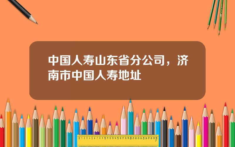 中国人寿山东省分公司，济南市中国人寿地址