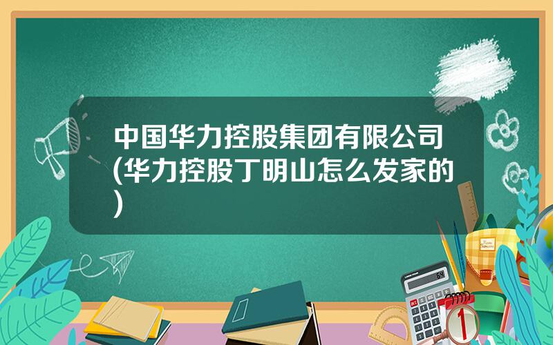 中国华力控股集团有限公司(华力控股丁明山怎么发家的)