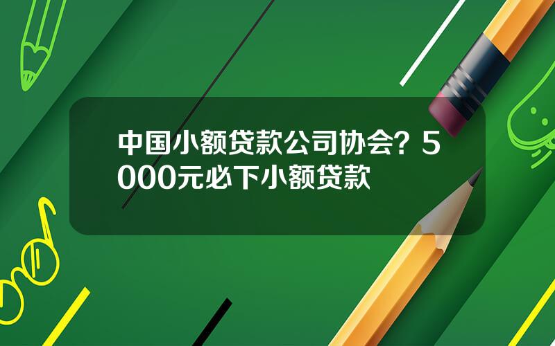 中国小额贷款公司协会？5000元必下小额贷款