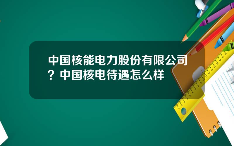 中国核能电力股份有限公司？中国核电待遇怎么样