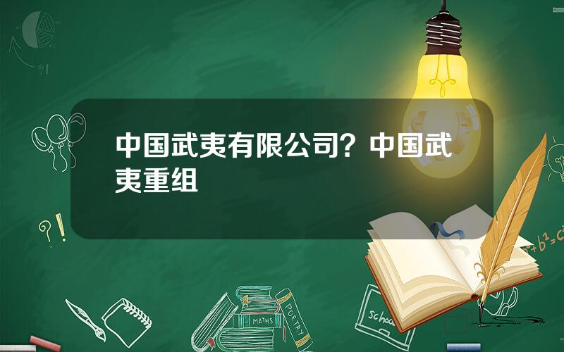 中国武夷有限公司？中国武夷重组