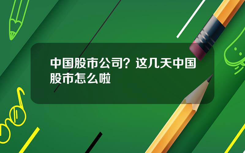 中国股市公司？这几天中国股市怎么啦