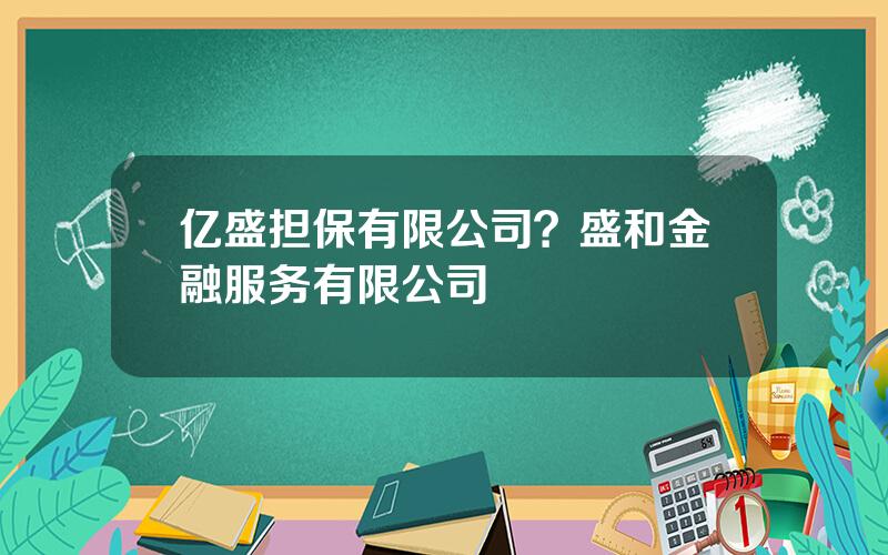 亿盛担保有限公司？盛和金融服务有限公司