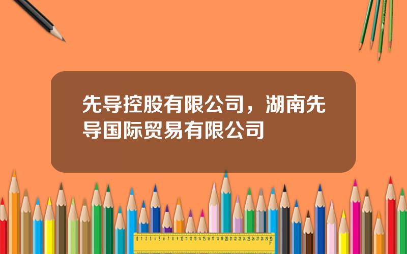 先导控股有限公司，湖南先导国际贸易有限公司