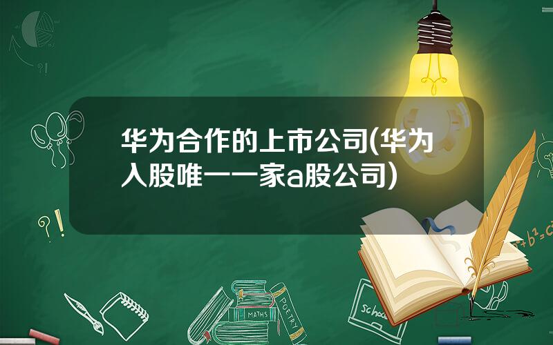 华为合作的上市公司(华为入股唯一一家a股公司)