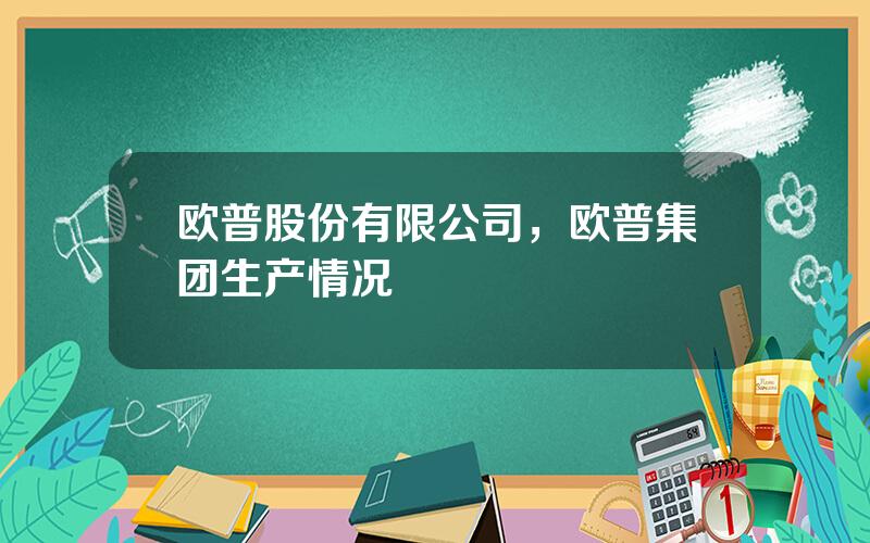 欧普股份有限公司，欧普集团生产情况