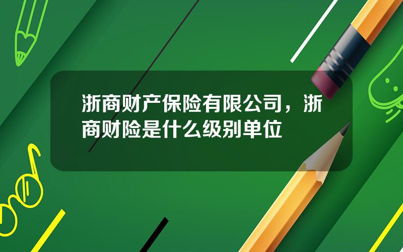 浙商财产保险有限公司，浙商财险是什么级别单位