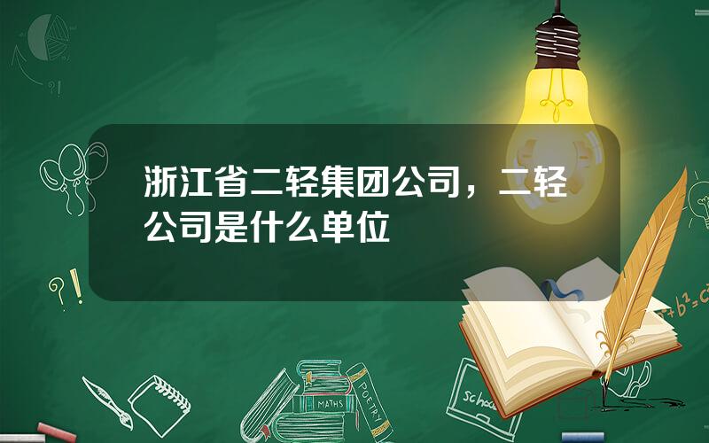 浙江省二轻集团公司，二轻公司是什么单位