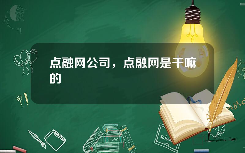 点融网公司，点融网是干嘛的