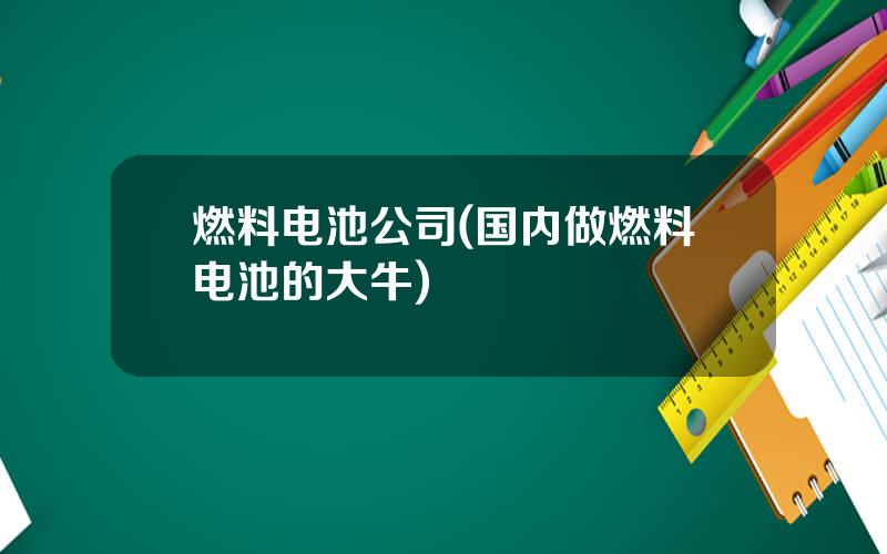 燃料电池公司(国内做燃料电池的大牛)